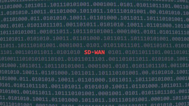 Sd-wan. Vulnerability text in binary system ascii art style, software-defined wide area network code on editor screen. Text in English, English text