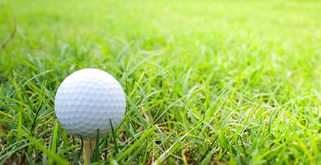 Golf balls and tees placed on the grass.