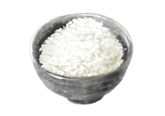 水彩の白ごはん01_2