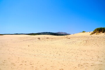 Dunes of Valdevaqueros, sand dunes on the beach at the Atlantic Ocean with the mountains of Andalusia behind, Costa de la Luz, province of Cádiz, Spain, Travel, Tourism