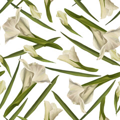 Watercolor gladioluses plant seamless pattern, hand drawn digital floral illustration of white flowers buds and leaves Isolated on white background Repeating design for print wallpaper, wrapping paper