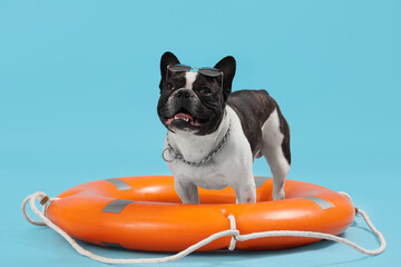 French bulldog with ring buoy on blue background