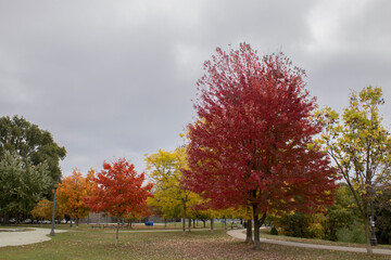 Cloudy day in during Fall in Toronto