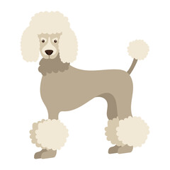 dog poodle design