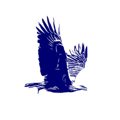 line sketch of an eagle as an element for making logos, activity symbols and organizational symbols