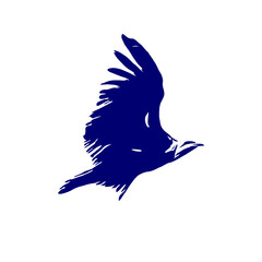 line sketch of an eagle as an element for making logos, activity symbols and organizational symbols