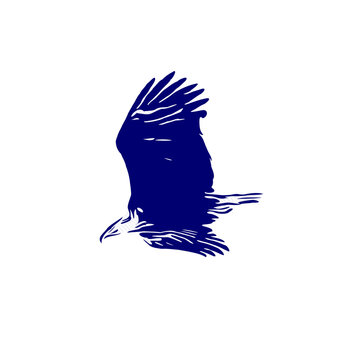 line sketch of an eagle as an element for making logos, activity symbols and organizational symbols