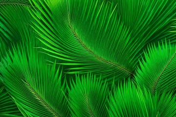 palm leaf background