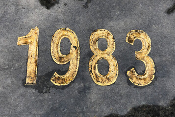 The year 1983