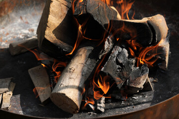 Fire wood fire in a fire bowl
