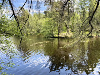 A view of the Lake District at High Dam Tarn near Windermere