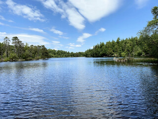 A view of the Lake District at High Dam Tarn near Windermere