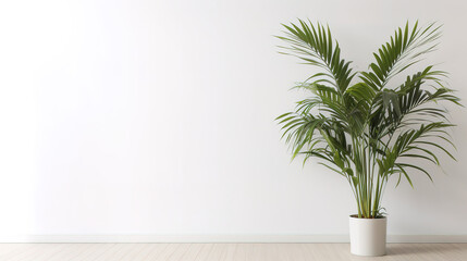 Plant leaf ornaments with empty space, tree in a interior