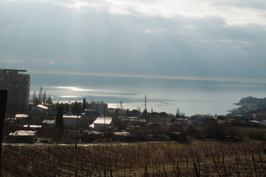 Ukraine. Mountains of Crimea. New Year. January 2014.