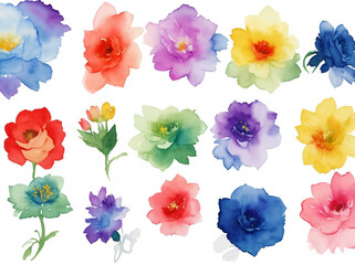 collage of flowers