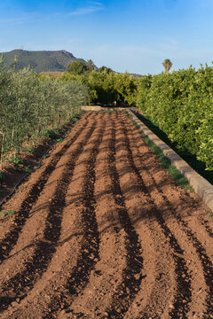 caballones en campo agr&iacute;cola
