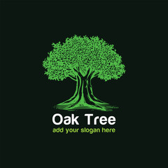 oak tree logo design vector format