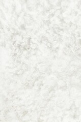 white background