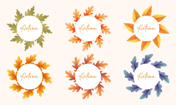 vector autumn fall leaf background floral frame