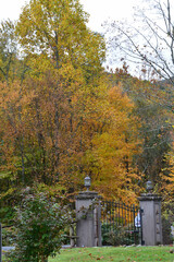 Leaves changing in the mountains