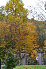 Leaves change in North Carolina