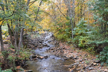 Flowing creek in the fall