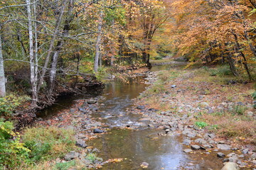 Fall creek in North Carolina