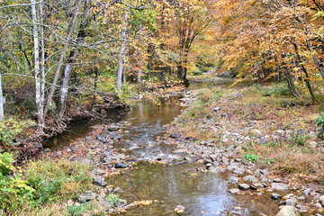Still water in North Carolina