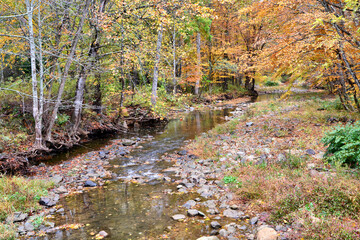 Fall in the mountains
