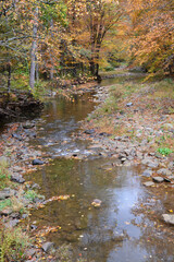 Small creek in the fall
