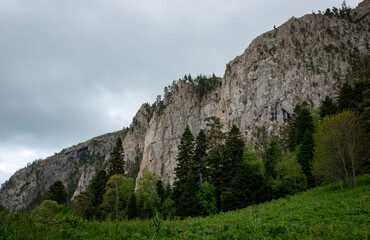 Mountain landscape. A big rock in the middle of a green forest on a summer day.