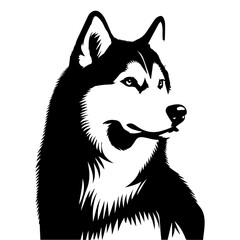 Siberian husky dog vector silhouette © Big Dream