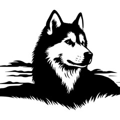 Siberian husky dog vector silhouette