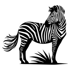 Zebra animal vector silhouette