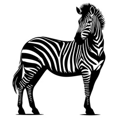 Fototapeta na wymiar Zebra animal vector silhouette