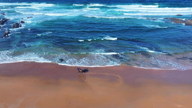 Horseback riding on El Sable beach in the town of Tagle. Aerial view from a drone. Suances Municipality. Cantabrian Sea. Cantabria. Spain. Europe
