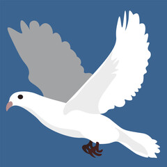 flying white dove in vector. wild animal in flat style. Template for poster logo icon for app website. Series of animal images in flat style