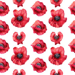Seamless pattern with red poppies on a white background. Seamless hand-drawn background with red wildflowers. Watercolor illustration