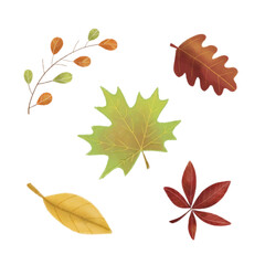 Autumn leaves. Cute cozy autumn illustration