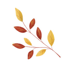 Autumn leaves. Cute cozy autumn illustration
