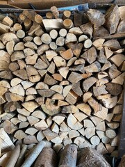 Chopped Logs 01, 2022-08