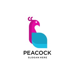 Fototapeta na wymiar modern peacock bird logo design template
