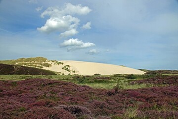 Düne auf der Insel Sylt, wandernd 