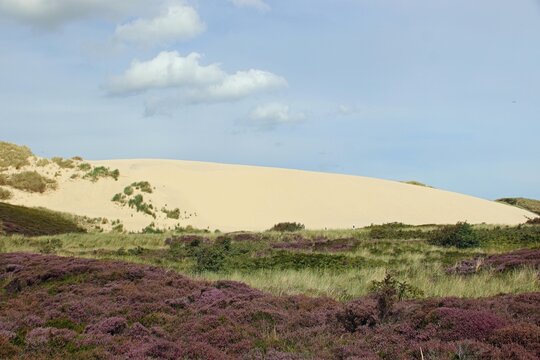 Sandaufwehungen, Wanderd&uuml;ne, D&uuml;nenlandschaft 