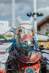 Decorated horses for the Löwenbräu brewery at the Oktoberfest in Munich, Germany