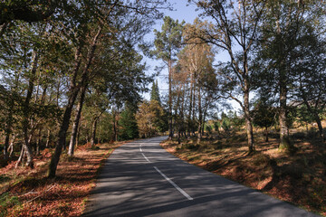 Road through Gerês National Park forest during autumn 