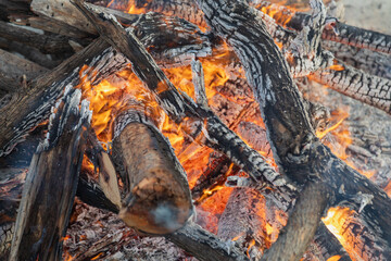 closeup bonfire with logs and branches from acacia trees