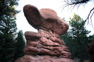 asymmetrical red stone illuminated against dark wooded background