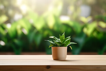 a small brown pot with green plant on the  wooden desk