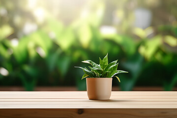 Fototapeta premium a small brown pot with green plant on the wooden desk